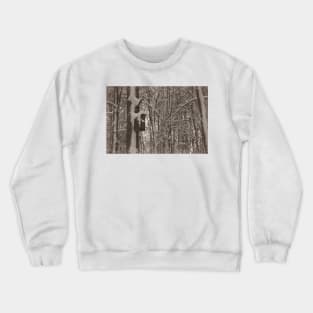 Bird feeder on a tree in winter Crewneck Sweatshirt